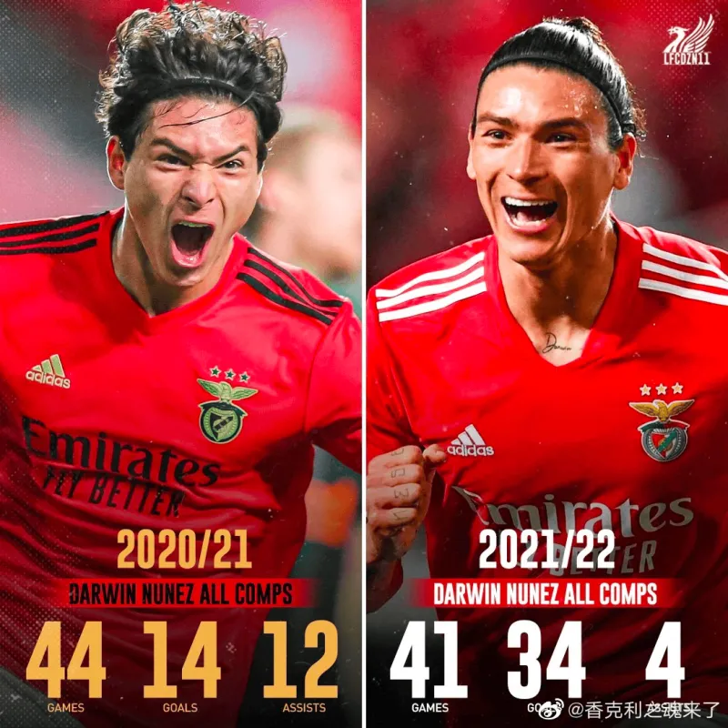 登录入口-本菲卡足球俱乐部阵容